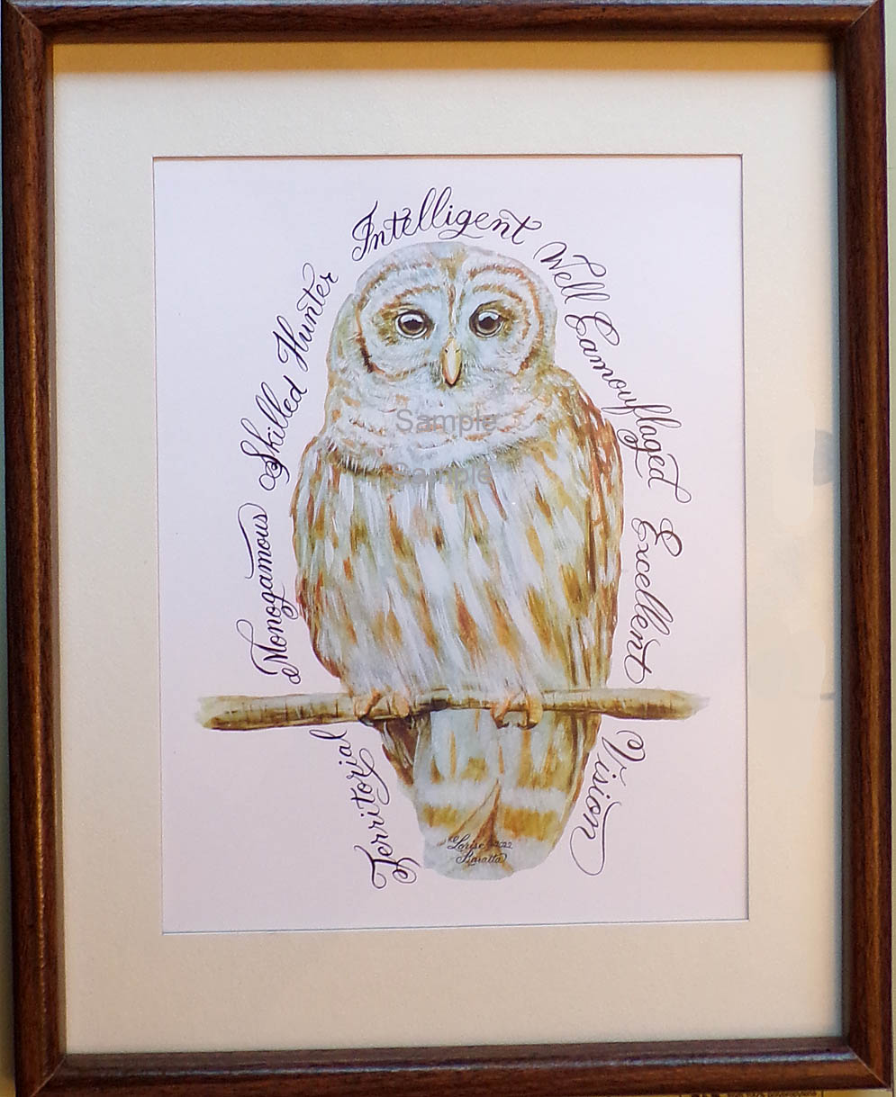 Barred Owl Calligraphy Print